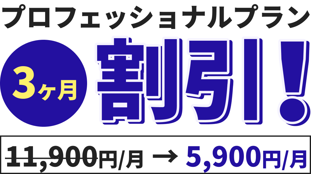 プロフェッショナルプラン 3ヶ月割引!!